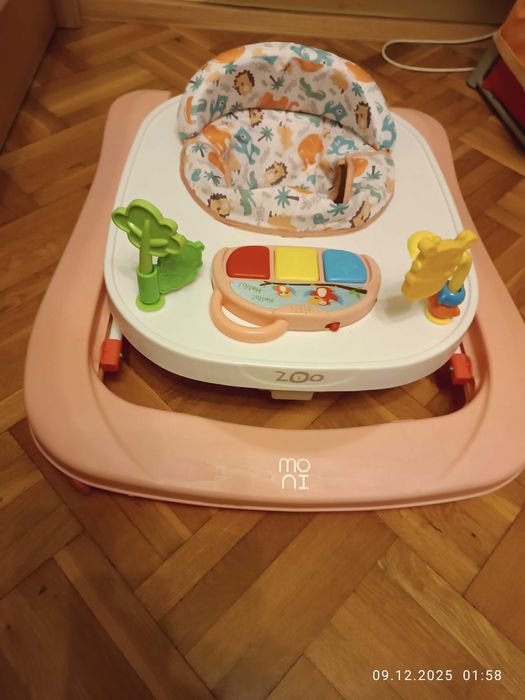 Проходилка (паяк)