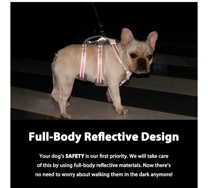 Кучешки нагръдник