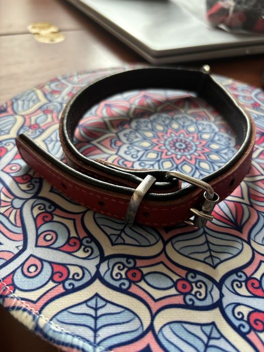 Ошейник, шлейка доя собак