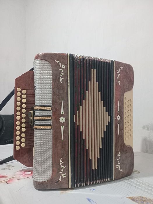 Гармонь Беларусь