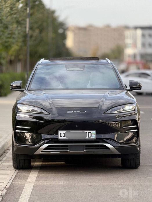 Byd chempion smart 2025