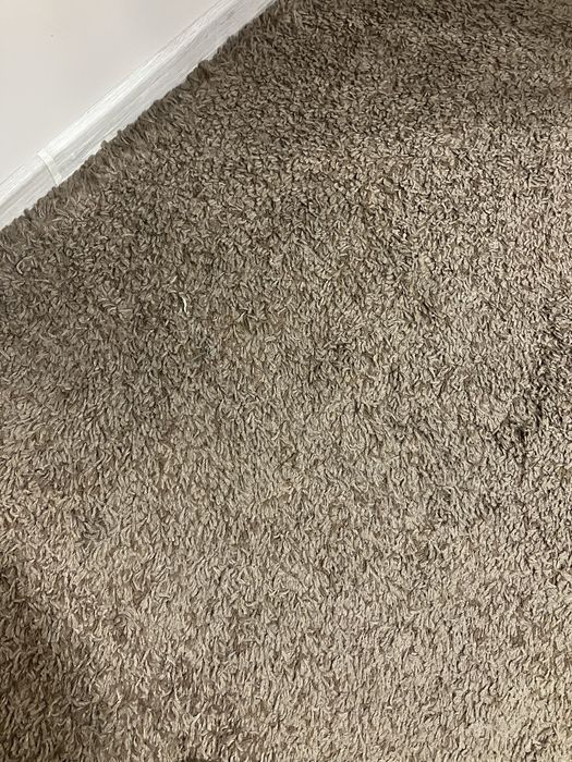 Килим тип шаги 200/300