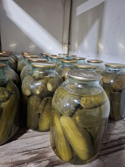 Огурцы  маринованные