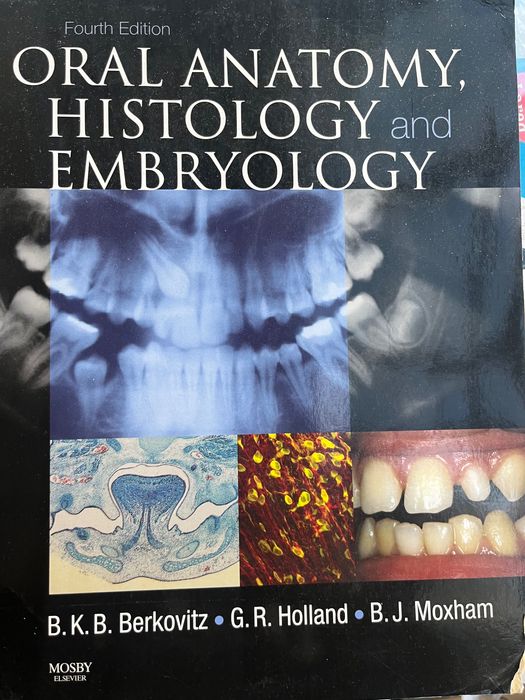 Oral anatomy histology and embrioligy