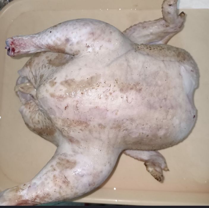 Продам бройлеров домашние!