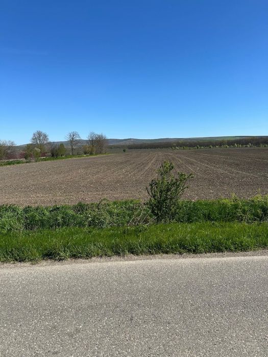 Teren extravilan 10400mp Balteni, jud Vaslui