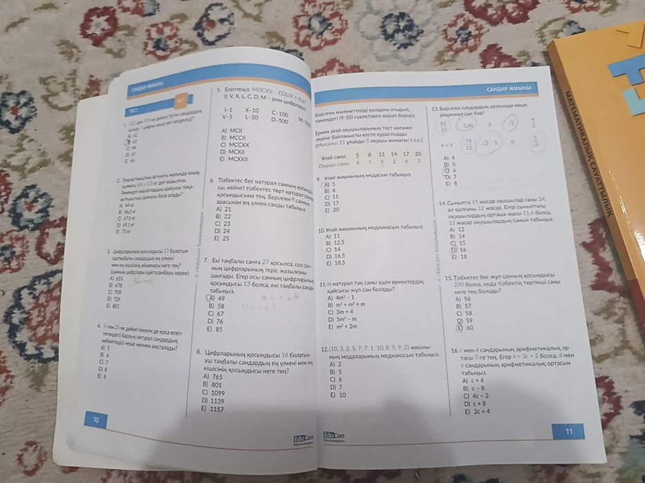 Математикалык сауаттылық ент