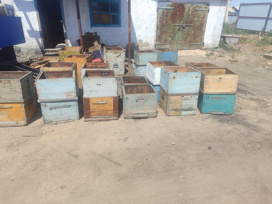 Продам улья, улики , пасика
