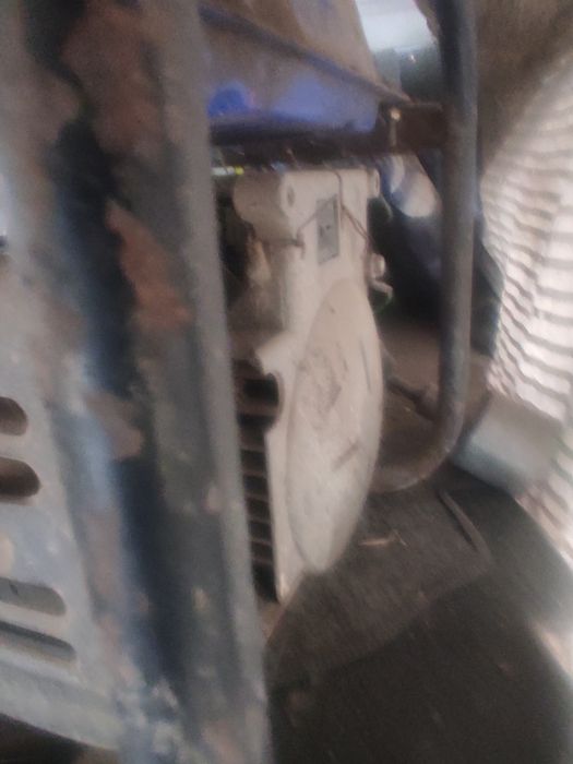 Продам чабанку на рмальноя