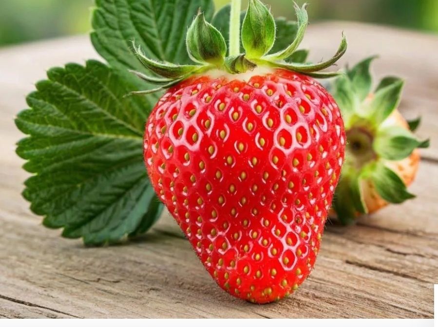 Клубника ремонтантная НСД