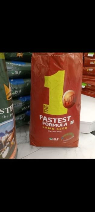 Gazon ekish va lanshaf