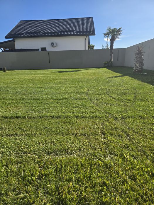 Ofer servicii de curățare și întreținere terenuri,curții.