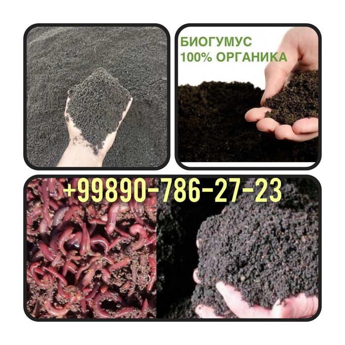 Sifatli toza 0.5 setkaga elangan Biogomuslar sotiladi