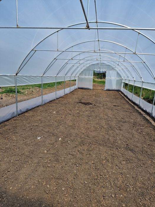 Solarii Ploiesti
