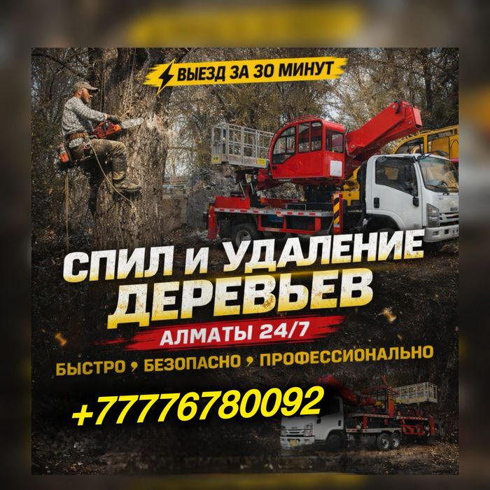 Спил Деревьев Обрезка Срочный Выезд В Аварийных Сухих Деревьев