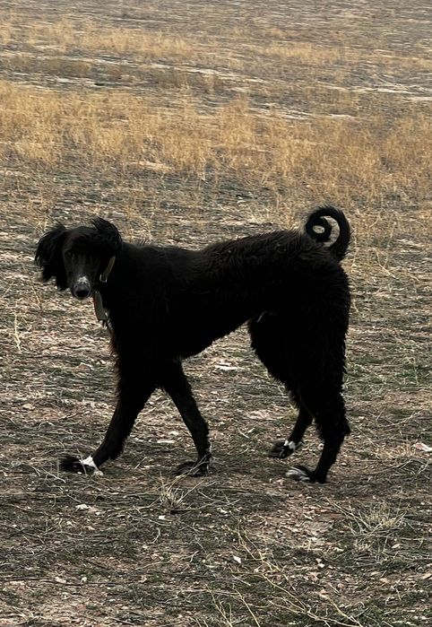 Инцест порно көру