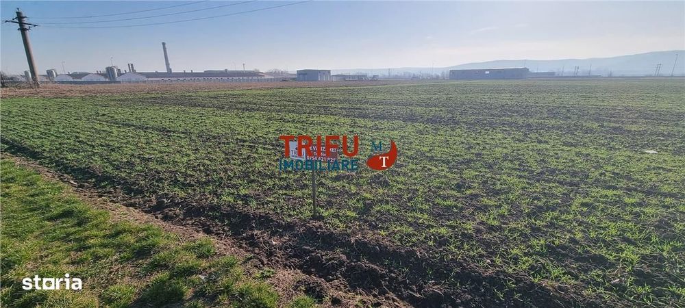 Teren industrial 11600mp la DN1