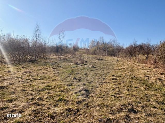 Casă traditionala+TEREN 6.000 mp