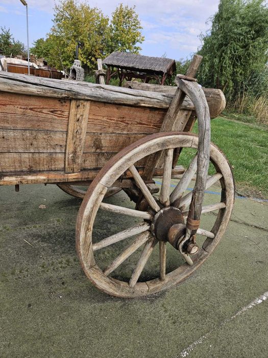 Caruta, potrivit pentru scopuri decorativa