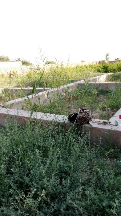 Yer Uy Sotiladi 16 sotix (Дом продаётся) Сурхондарё Шеробод