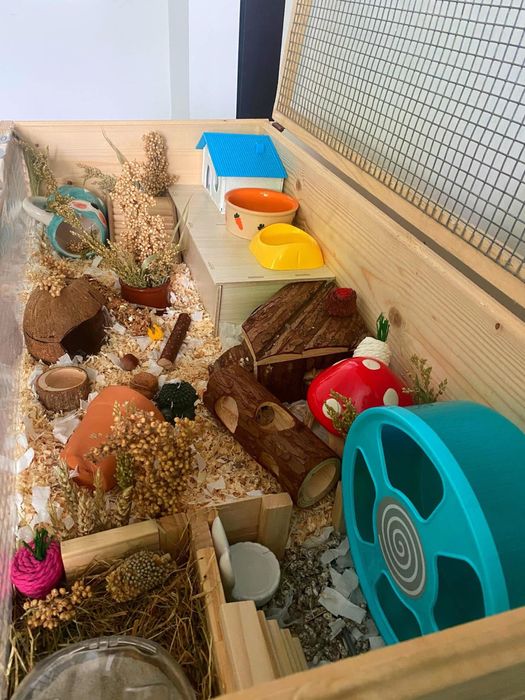 Cusca ideala pentru un hamster pitic