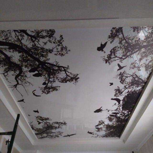 Natijnoy potolok натяжные потолки