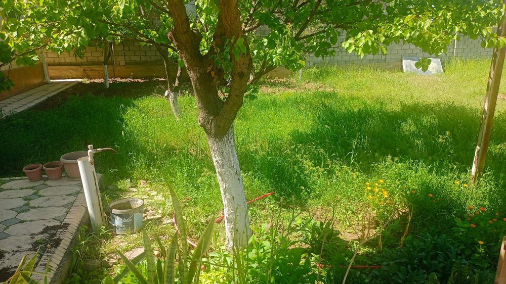 Сенокосилка газон травы шөп ору