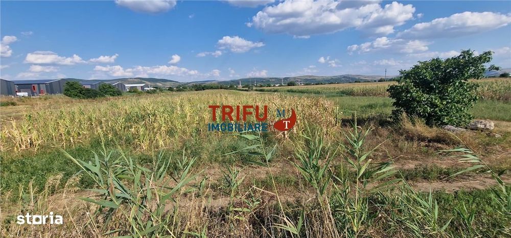 Teren intravilan 5.756 mp cu acces direct la Șoseaua de Centură – Alba