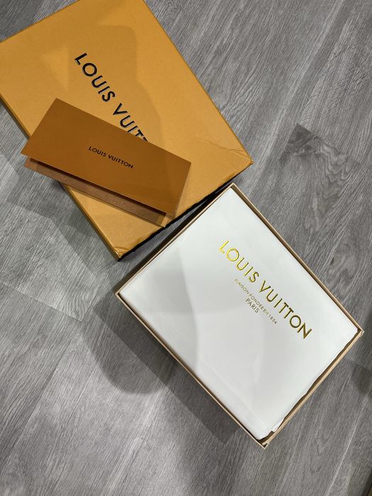 Louis Vuitton LV Skate Trainer Sneaker Gray