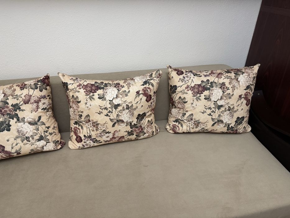 Canapea extensibilă în stare excelentă