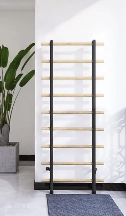 Гимнастическая лестница