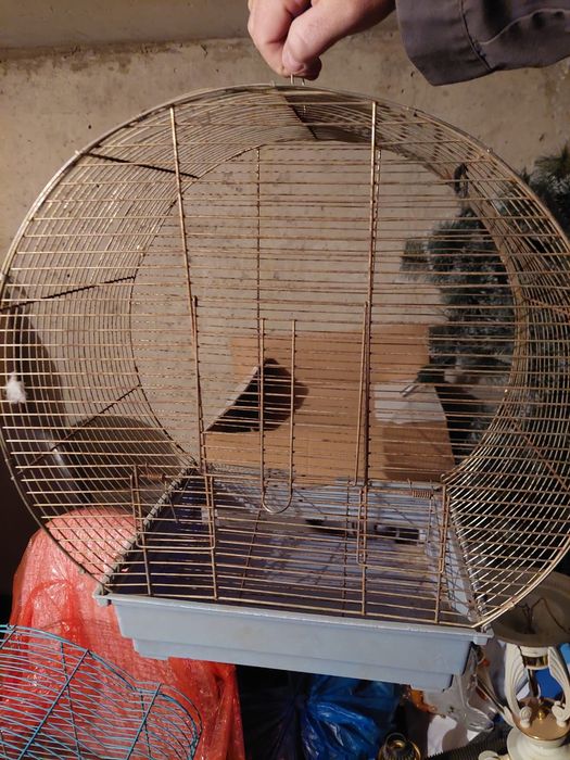 Продам клетки для хомяка и попугаев