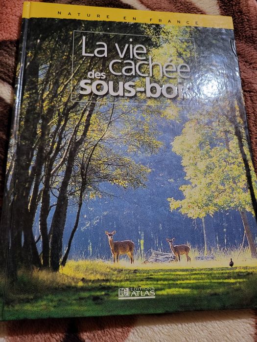 Carte ilustrată „La vie cachée des sous-bois” – Éditions Atlas (2001)