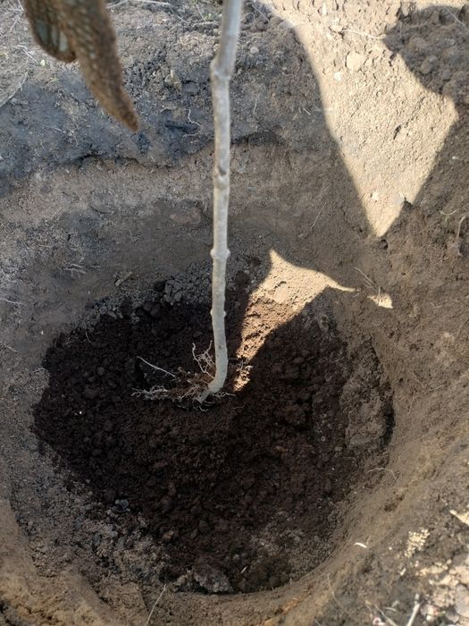 Оказываю услуги разнорабочего