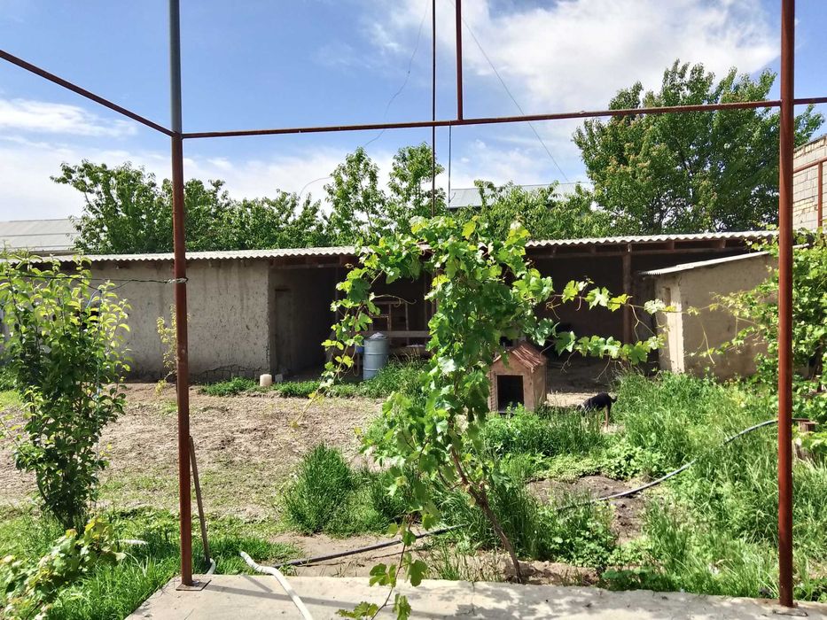 Hovli sotiladi 8 sotix