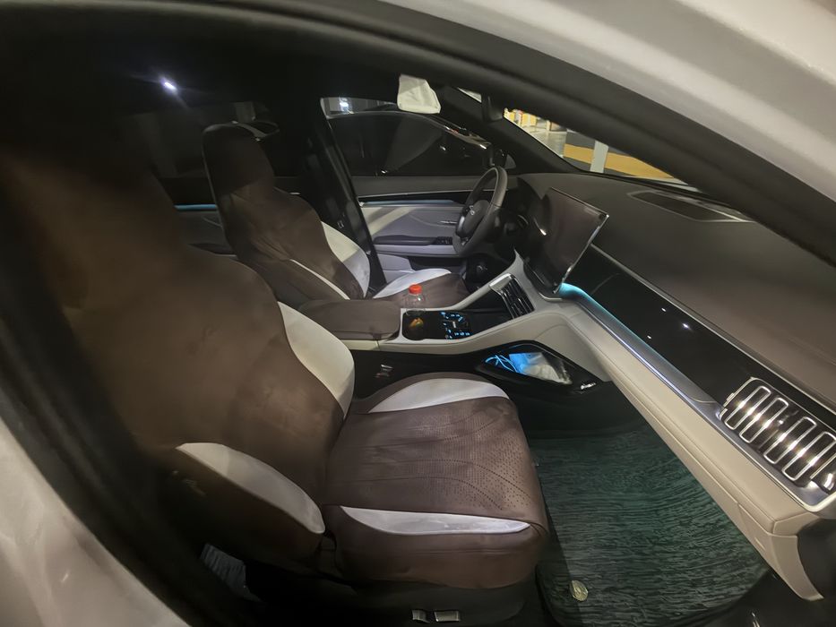 BYD chempion smart