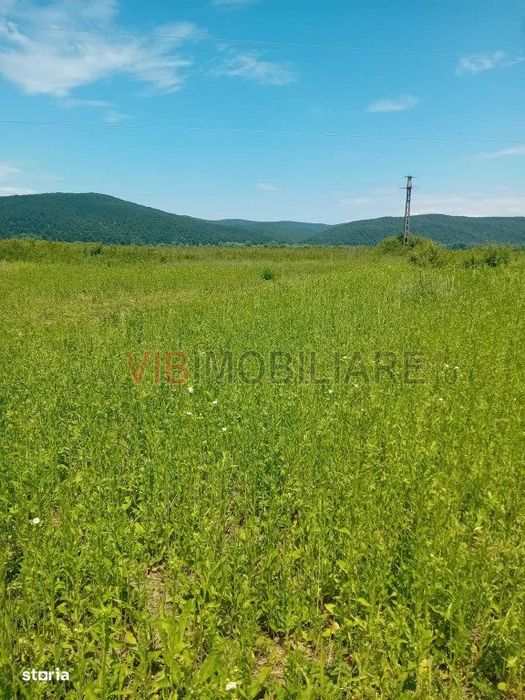 Oportunitate investiție agricolă | 750 ha societate | Județul Arad |