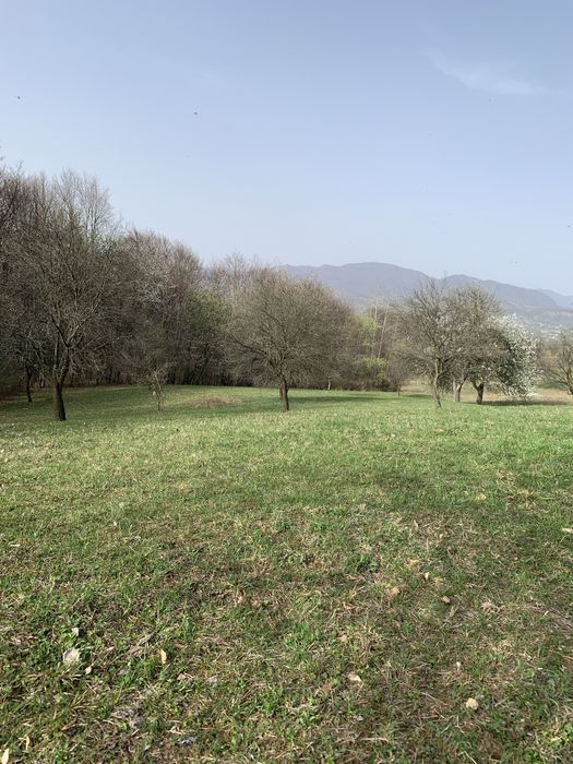 Teren 60 ari - in Cetatele, comuna Șișești, jud. Maramures