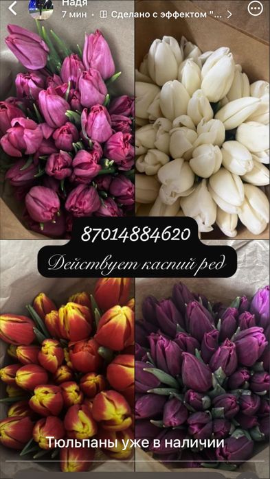 Тюльпаны 700 доставка десплатно