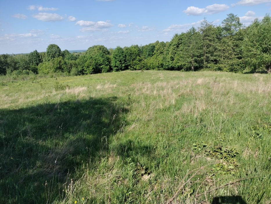 15000 euro 25 ari extravilan