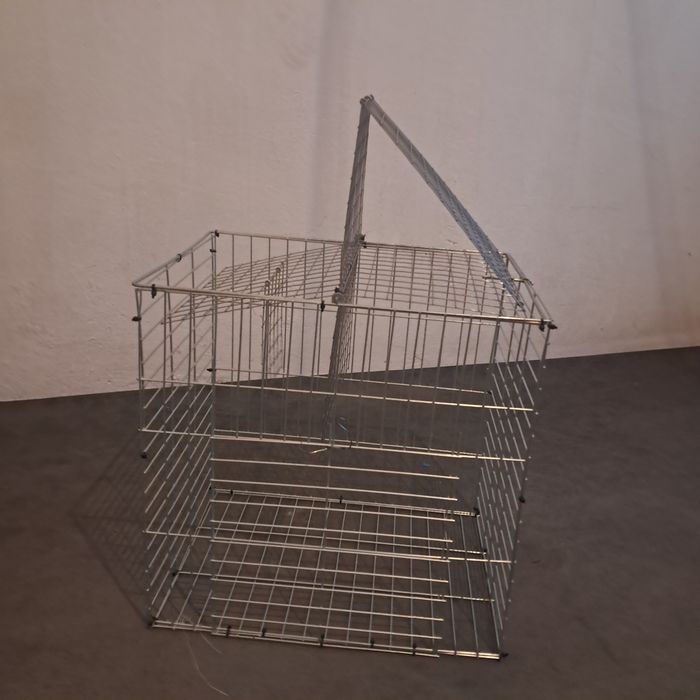 Капан за птици, гълъби
