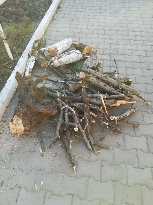 Дрова дерева груши