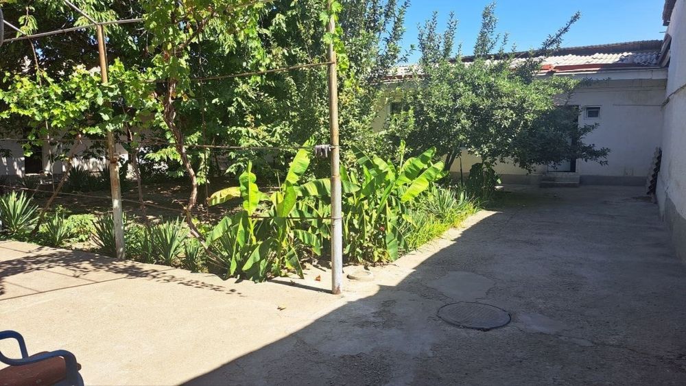 дом под слом  Вдоль дороги первая линия  Ботаника-таштюрьма