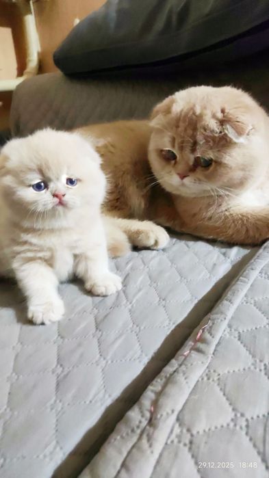 Приглашает на ВЯЗКУ