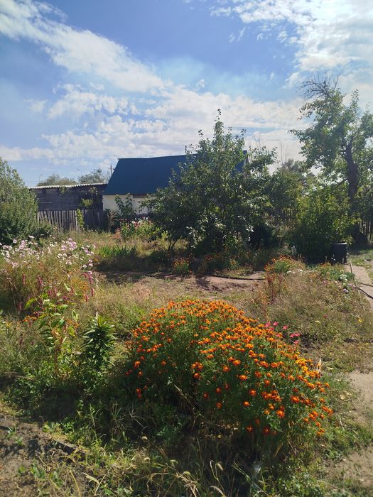 Продам дачу садоводство яблонька