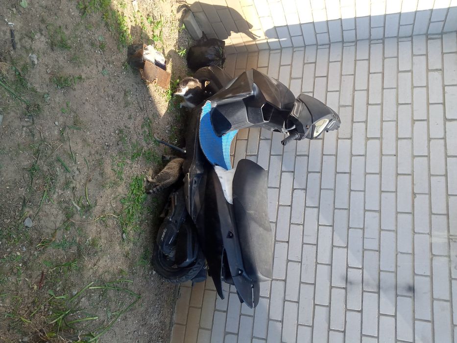 Продам мопед скутер