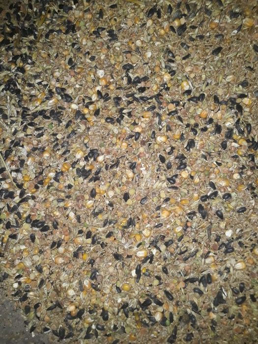 Куриная радость!!!Корма для птицы!!!