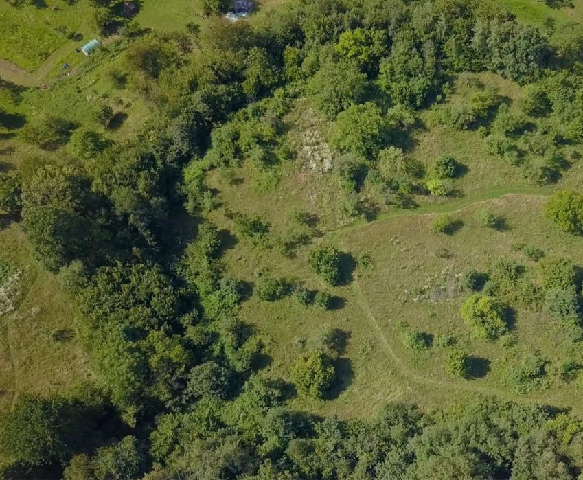 Vand teren intravilan 61 ari zona de munte,13 km de Cavnic.