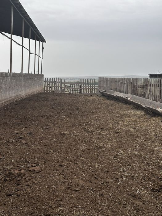 Фазенда для КРС и птицы