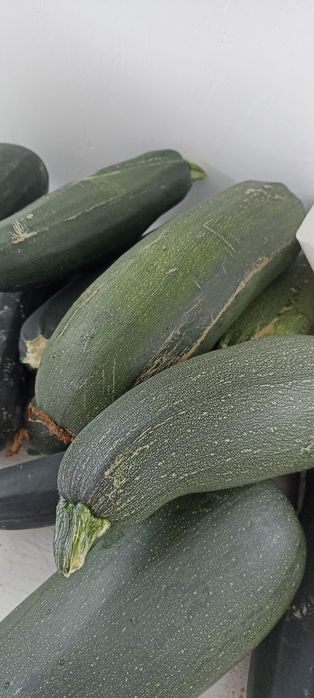 Кабачки домашние, очень вкусные, сочные